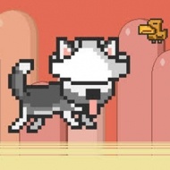 Mr Jump Husky