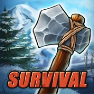 The Island Survival Challenge